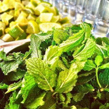 L’Urban Beach, votre restaurant de plage en bord de mer à Saint-Raphael (2023-08-29_1.jpg)