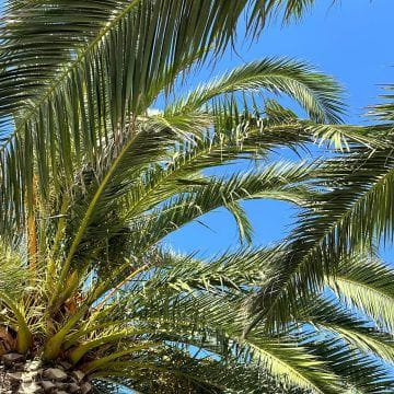 L’Urban Beach, votre restaurant de plage en bord de mer à Saint-Raphael (8)